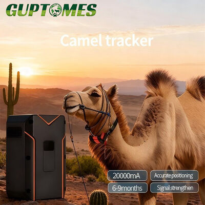 Buen precio 20000mAh Camel GPS Tracker 412g GPS compacto para el monitoreo de ganado en línea