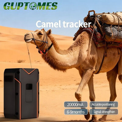 Good price Camel GPS Monitoring Solution Real Time GPS Tracking With Voice Intercom online