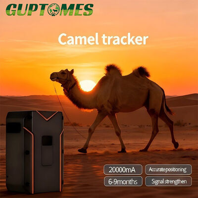 Καλή τιμή Συσκευή GPS Tracker Καμήλας Υψηλής Ακρίβειας με Μπαταρία 20000mAh και Φωνητική Επικοινωνία σε απευθείας σύνδεση