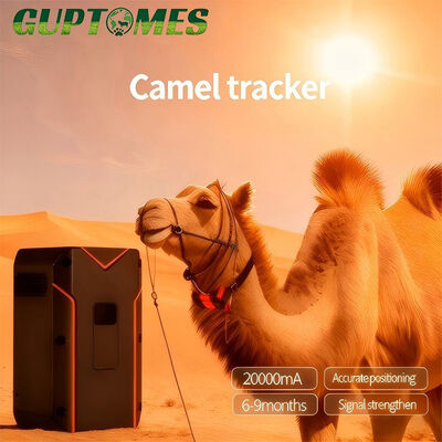 Bom preço Rastreador de GPS de camelo durável GPS BDS WIFI Multi posicionamento para ambiente áspero on-line