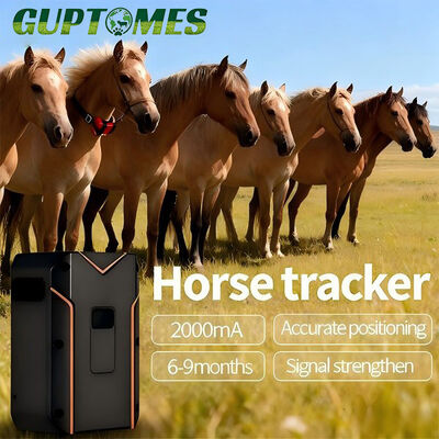 Bon prix Dispositif de suivi GPS durable à double mode pour chevaux, suivi GPS BDS WIFI pour le bétail et géorepérage en ligne