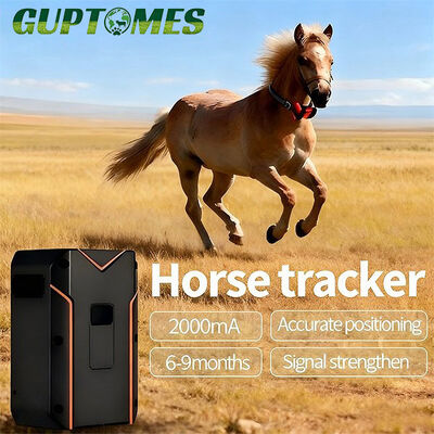 Goede prijs Paard Vee Dieren GPS Tracker 20000mAh Batterij Nauwkeurige Satelliet Positionering online