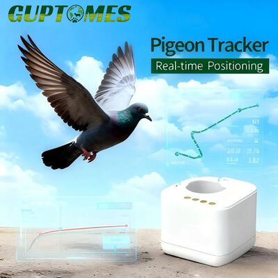 Buen precio Anillo rastreador de palomas en tiempo no real de 2.6g, batería de 36 horas, almacenamiento local encriptado en línea