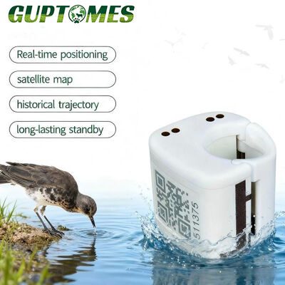 Καλή τιμή GPS+LBS Mini GPS Tracker για πουλιά 80mAh Δίκτυο 2G Κατάσταση σε πραγματικό χρόνο σε απευθείας σύνδεση