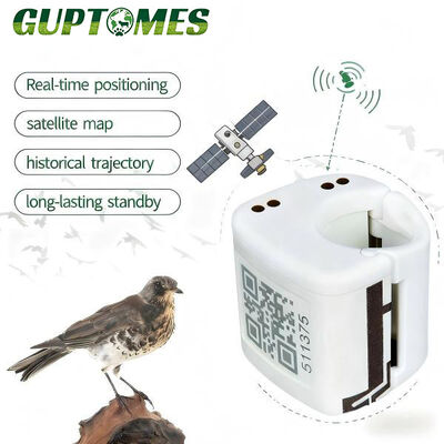 Goede prijs IP67 Waterdichte Kleine GPS Tracker Voor Vogels 5.4g Ultralicht Met Dubbele Oplaadmethode online