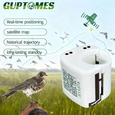 Buon prezzo Dispositivo GPS di localizzazione per uccelli domestici compatto 20x20mm per il monitoraggio di canarini, pappagalli e piccioni in linea