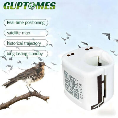 Καλή τιμή 80mAh GPS Tracker για Πτηνά Συντροφιάς Με Μεγάλη Αναμονή, Ανάλυση Εκπαίδευσης και Ιστορικό Διαδρομής σε απευθείας σύνδεση