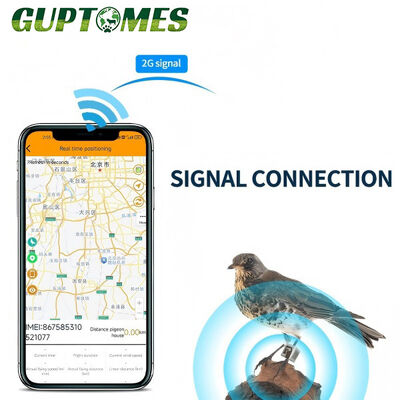 Хорошая цена 5.4g GPS LBS Bird GPS Tracker Waterproof 2G Real Time Positioning Long Standby онлайн