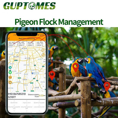 Giá tốt. Thiết bị theo dõi GPS chống nước Mini Dove động vật Ultra Light 5.4g GPS LBS Thời gian thực trực tuyến