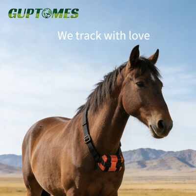 Bon prix Batterie 30000mAh Traqueur GPS à cheval robuste avec GPS BDS WIFI multi positionnement en ligne